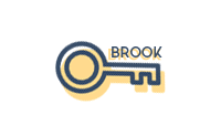 新版本 Brook <strong>VPN 模式</strong>尝鲜 —— Windows 手动使用教程